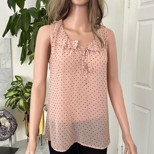Ann Taylor Loft sheer sleeveless top with buttons. So pretty!
